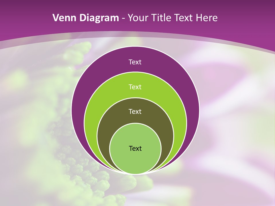 Beauty Summer Detail PowerPoint Template