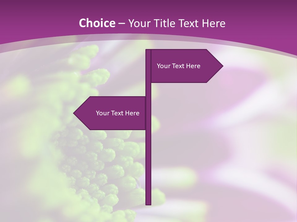 Beauty Summer Detail PowerPoint Template