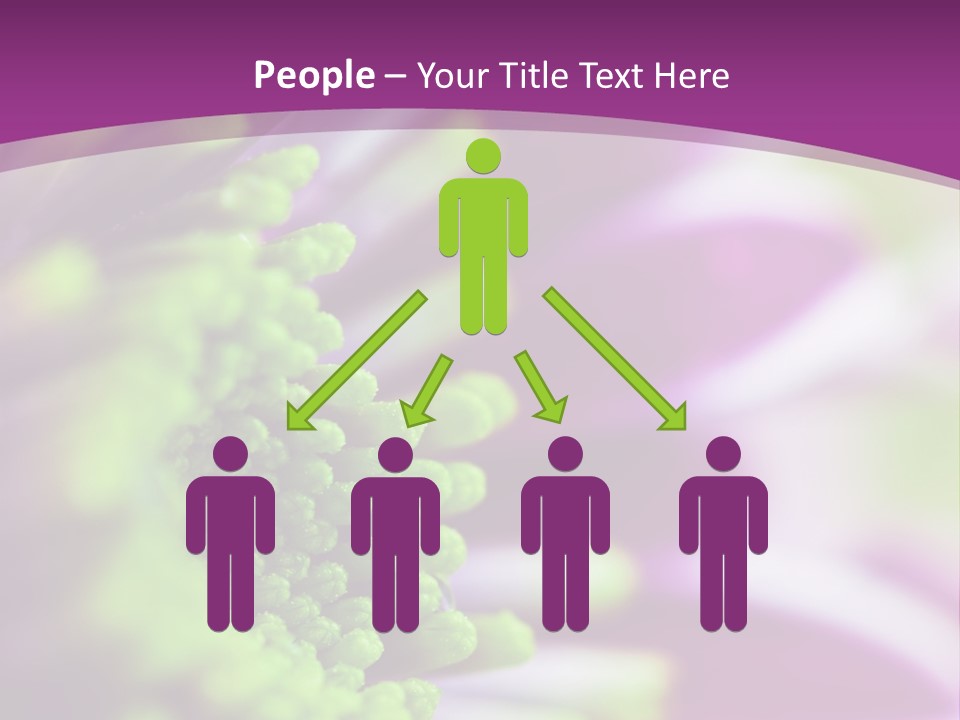 Beauty Summer Detail PowerPoint Template