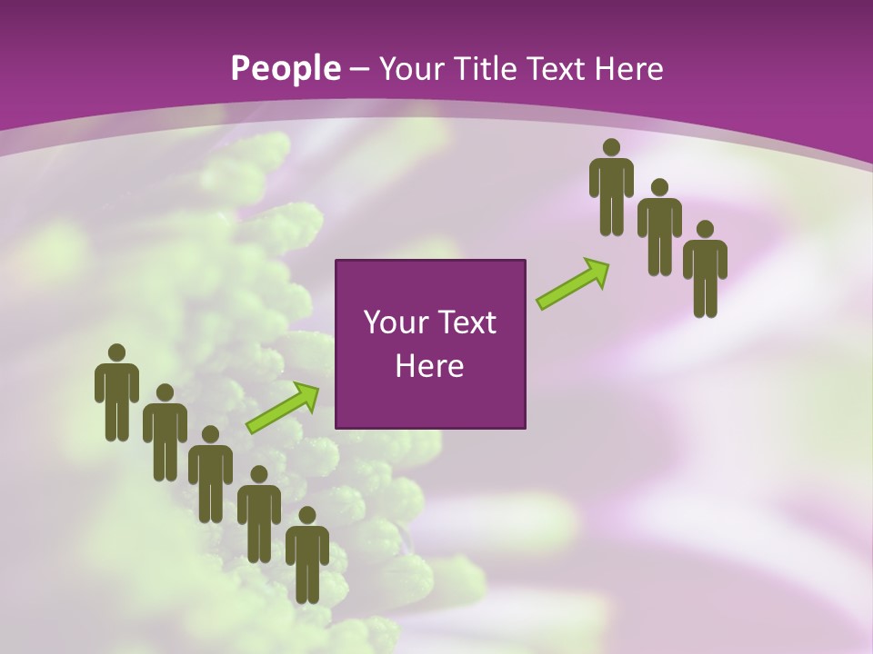 Beauty Summer Detail PowerPoint Template