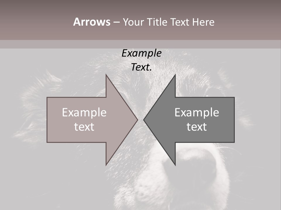 Workplace Economy Tall PowerPoint Template