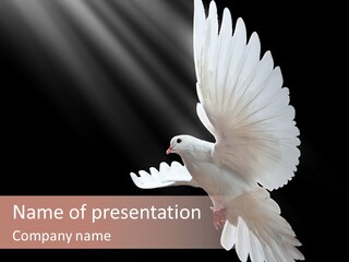 Feather Black Faith PowerPoint Template
