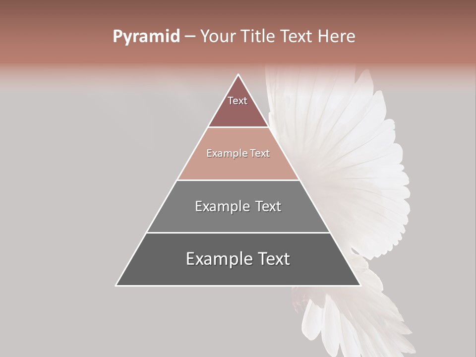 Feather Black Faith PowerPoint Template