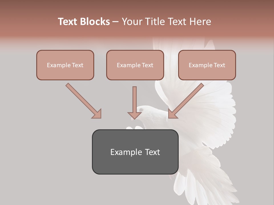 Feather Black Faith PowerPoint Template