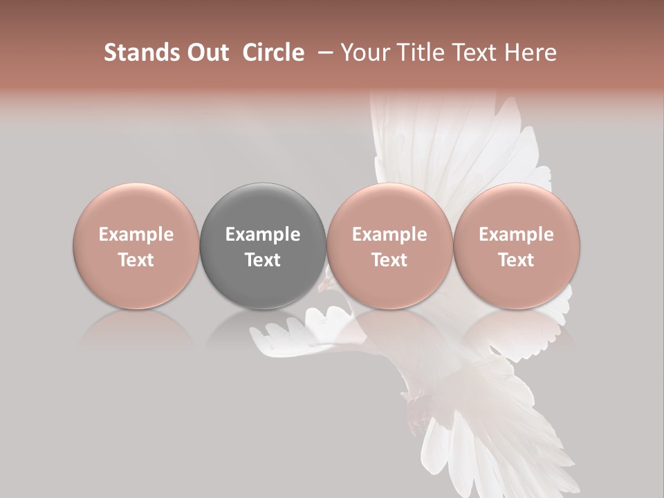 Feather Black Faith PowerPoint Template