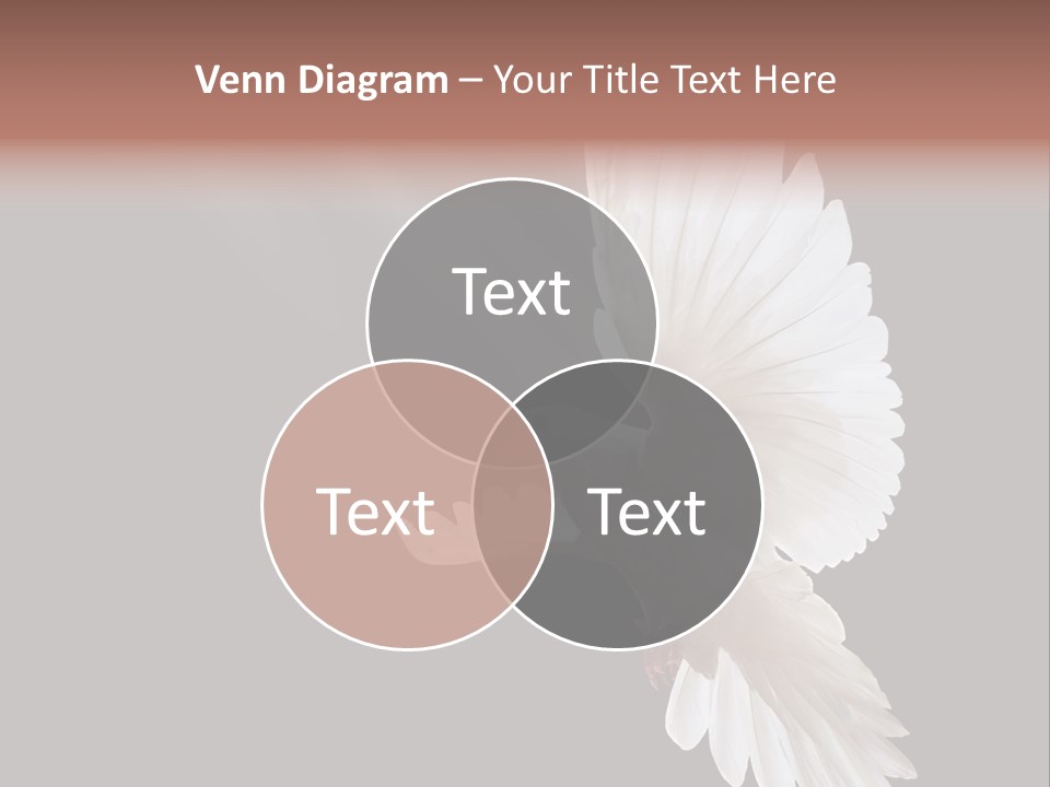 Feather Black Faith PowerPoint Template