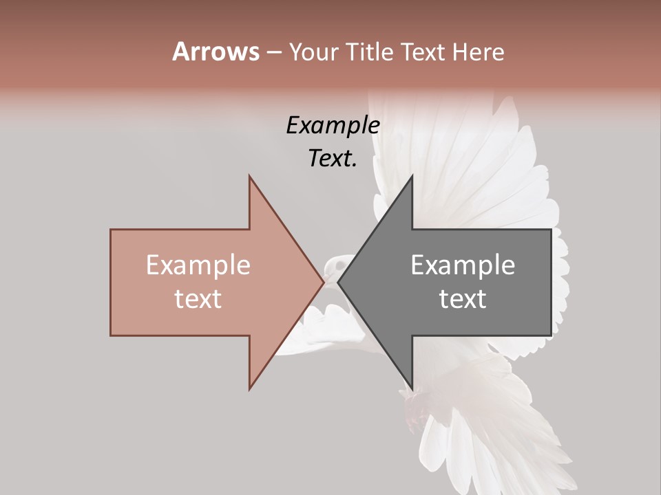 Feather Black Faith PowerPoint Template