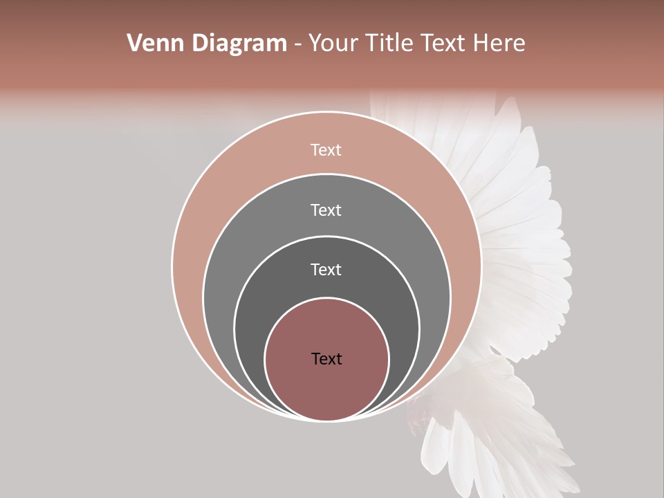 Feather Black Faith PowerPoint Template