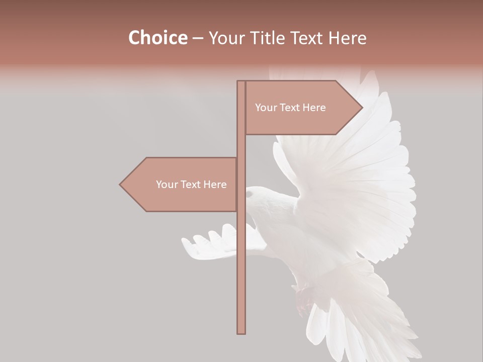 Feather Black Faith PowerPoint Template