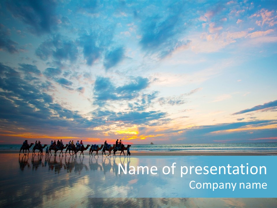 Silhouette Australia Camels PowerPoint Template