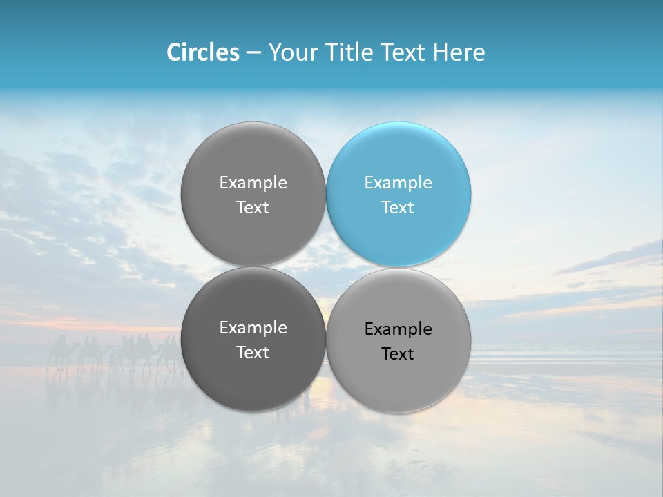 Silhouette Australia Camels PowerPoint Template