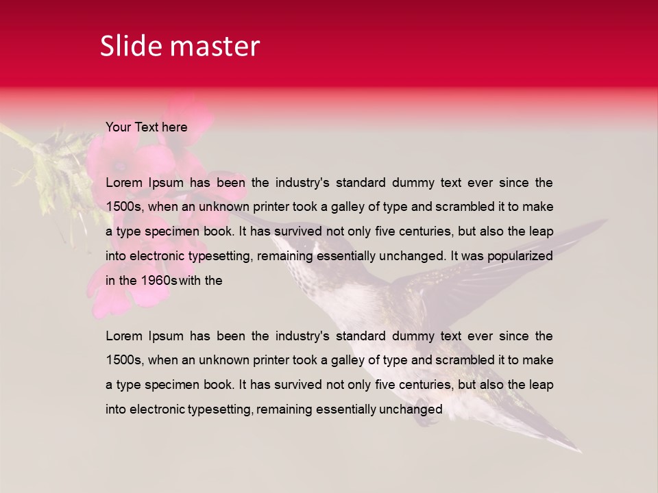 Fauna Hover Ruby PowerPoint Template