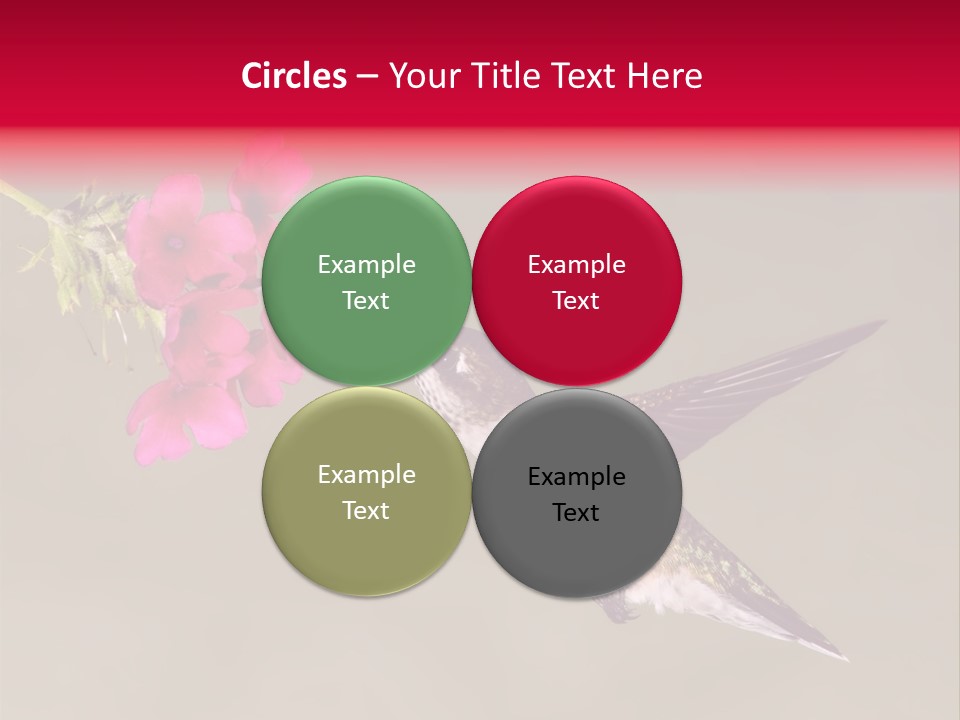 Fauna Hover Ruby PowerPoint Template