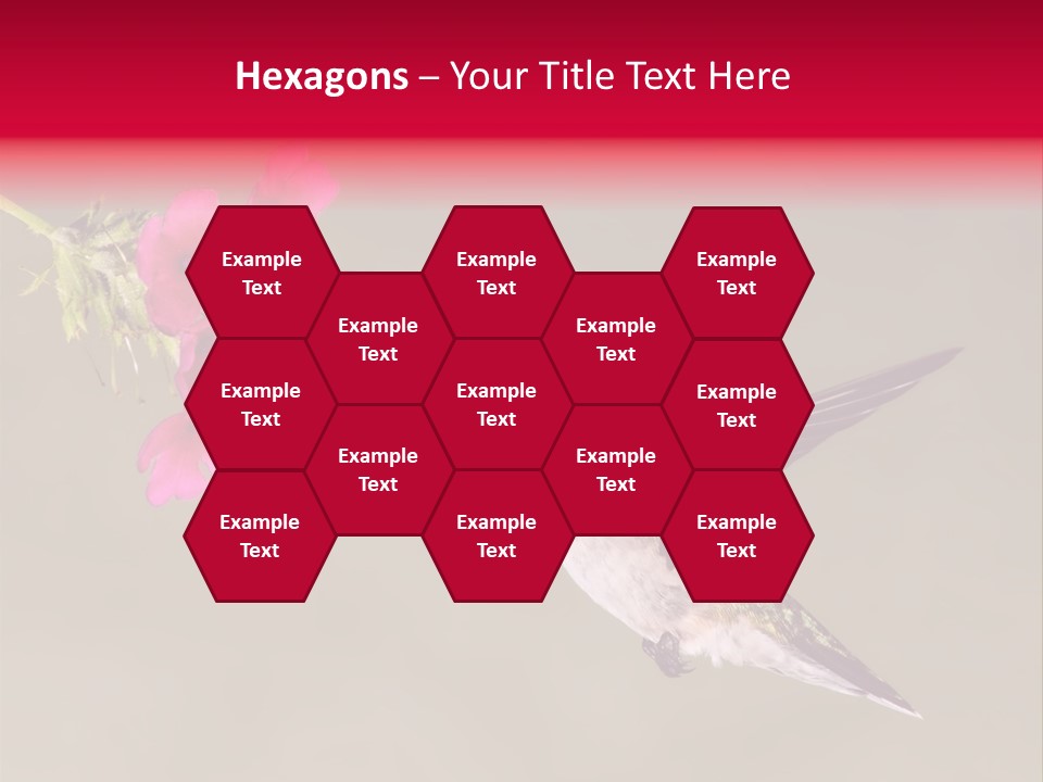 Fauna Hover Ruby PowerPoint Template