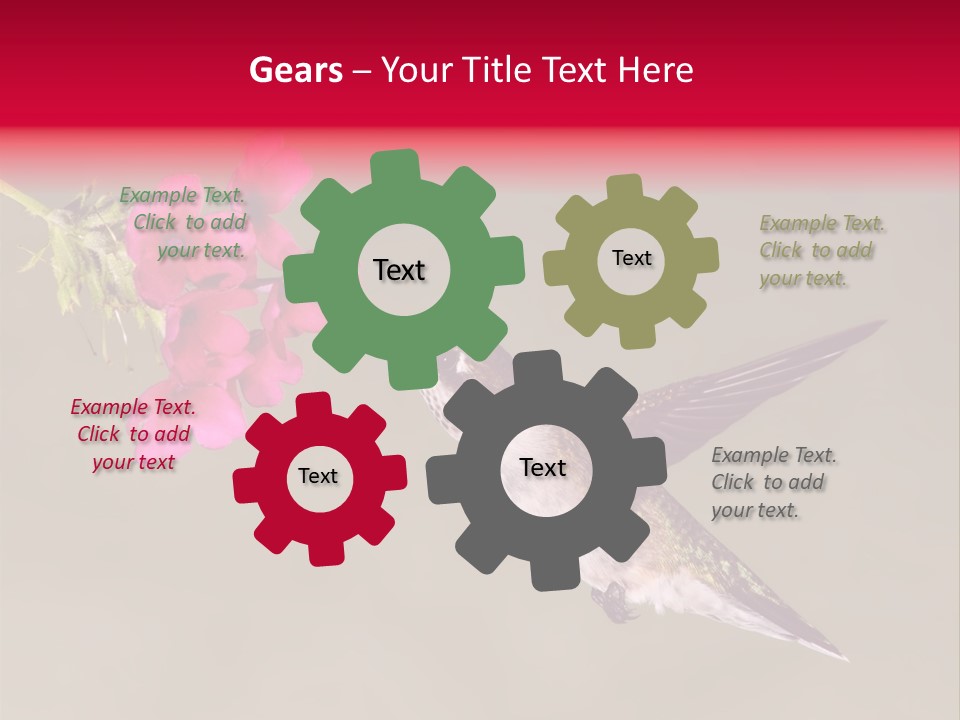 Fauna Hover Ruby PowerPoint Template