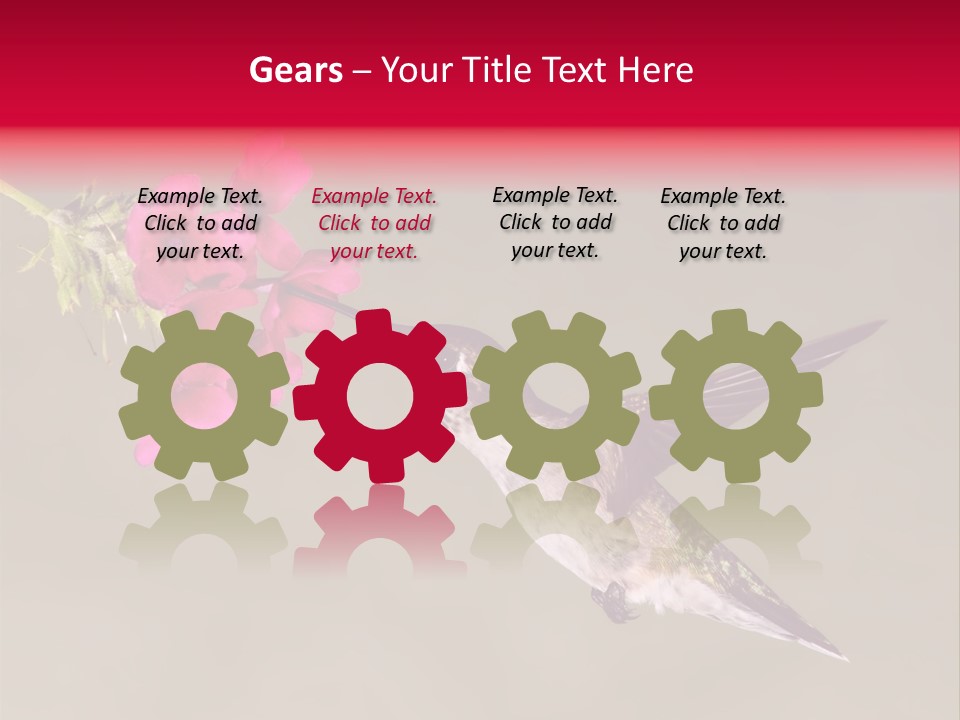 Fauna Hover Ruby PowerPoint Template