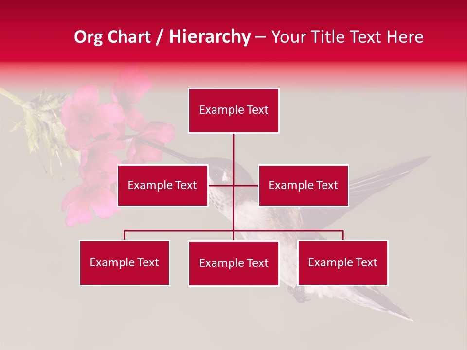 Fauna Hover Ruby PowerPoint Template