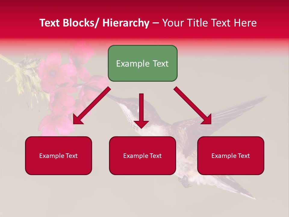 Fauna Hover Ruby PowerPoint Template