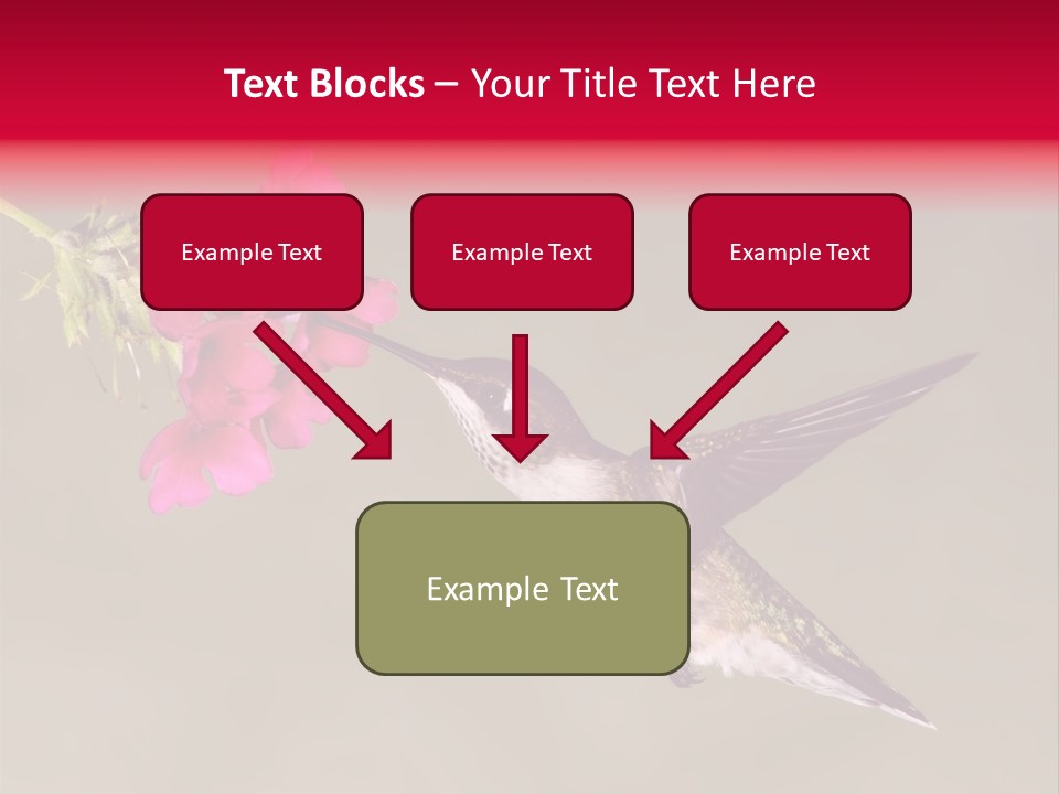 Fauna Hover Ruby PowerPoint Template