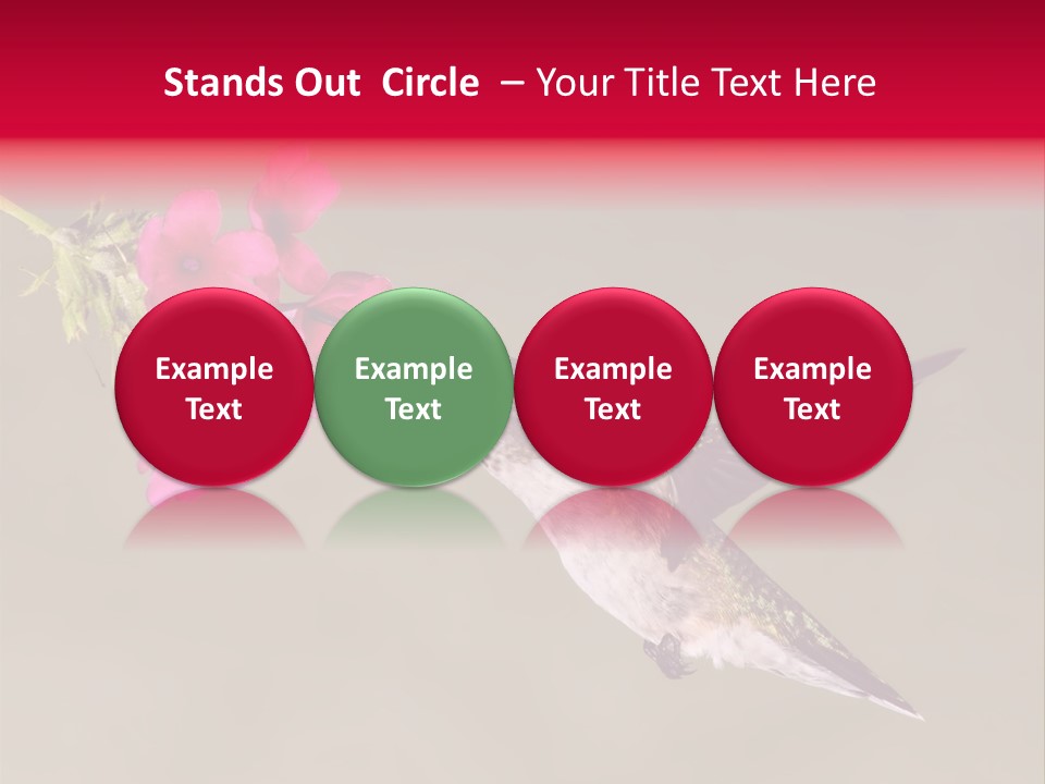 Fauna Hover Ruby PowerPoint Template
