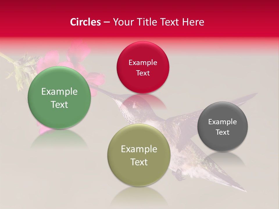 Fauna Hover Ruby PowerPoint Template