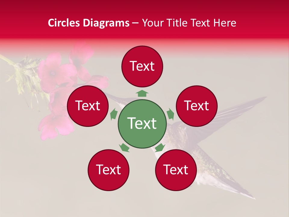 Fauna Hover Ruby PowerPoint Template