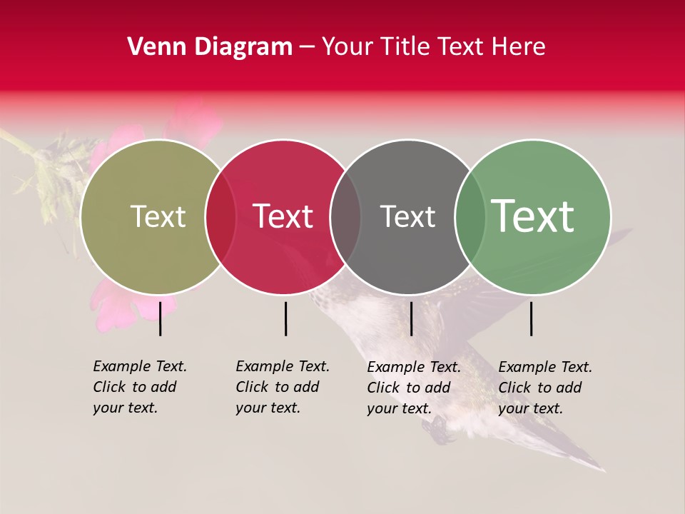 Fauna Hover Ruby PowerPoint Template