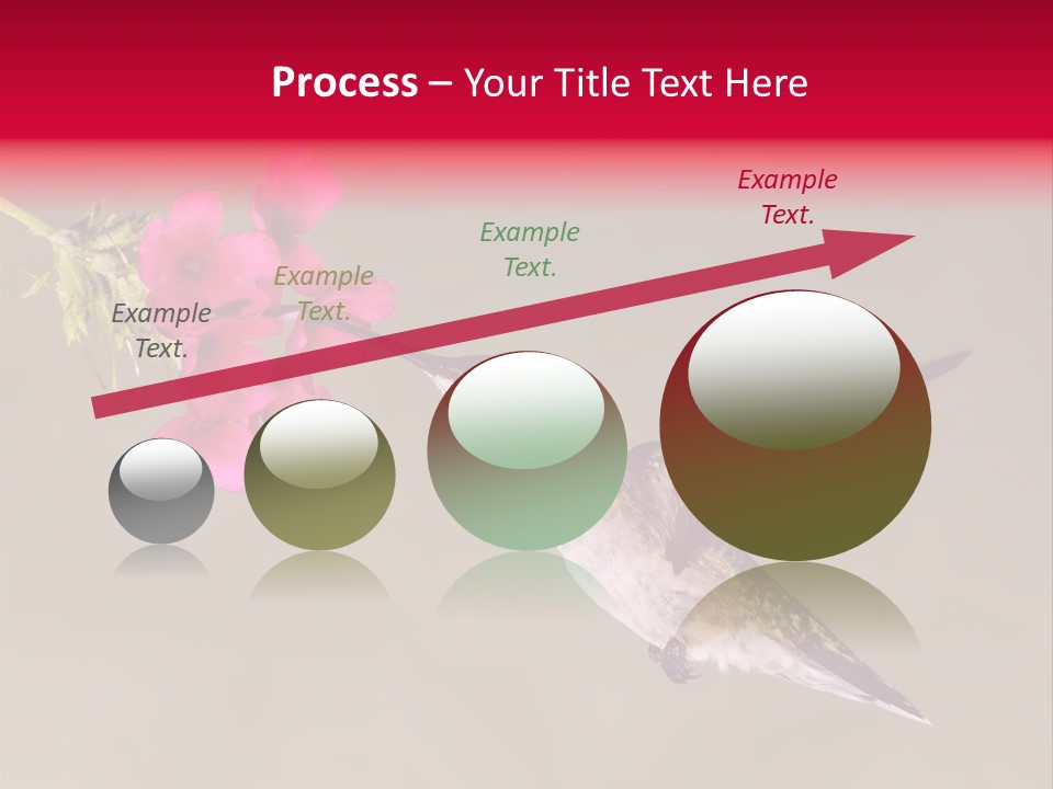 Fauna Hover Ruby PowerPoint Template