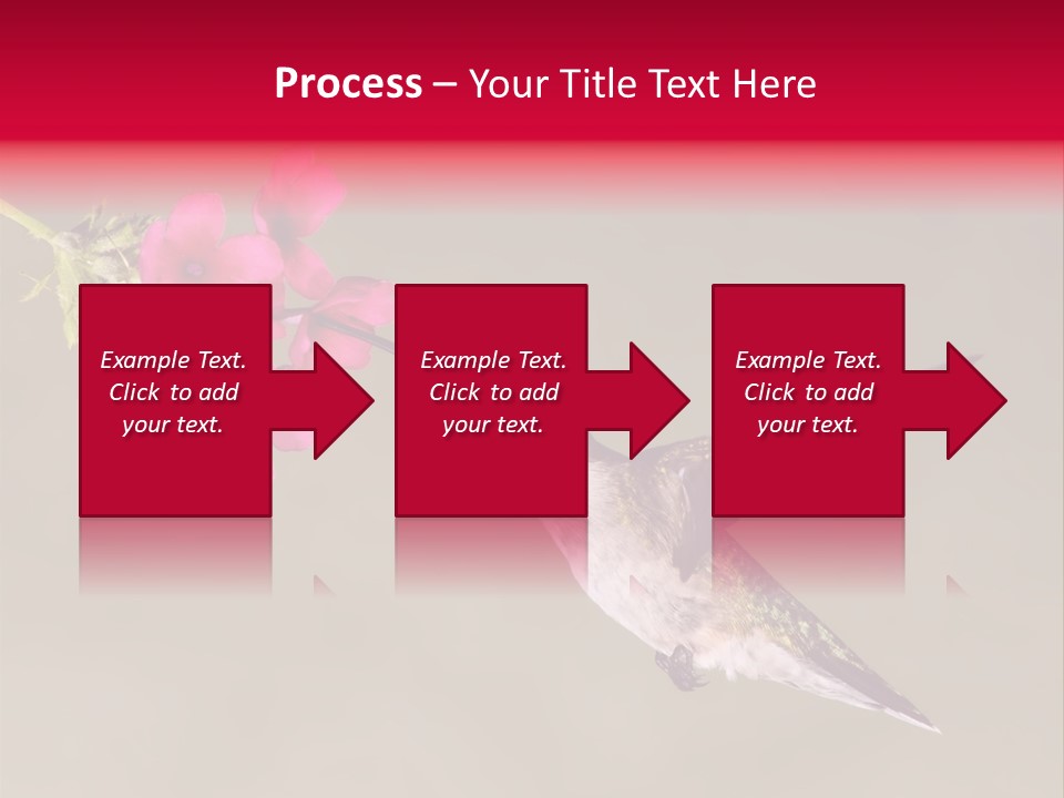 Fauna Hover Ruby PowerPoint Template