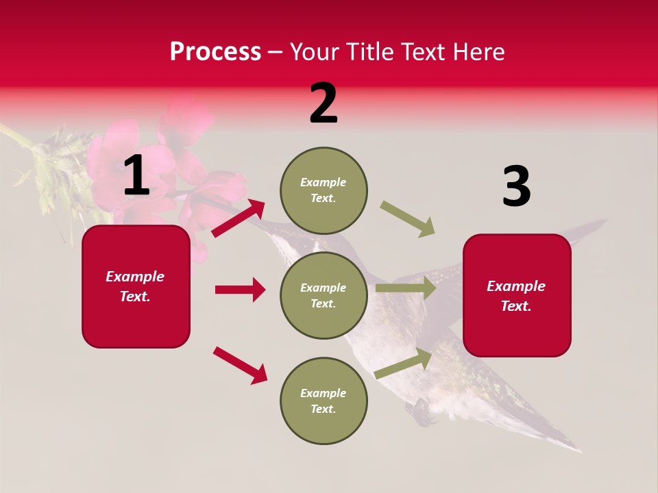 Fauna Hover Ruby PowerPoint Template