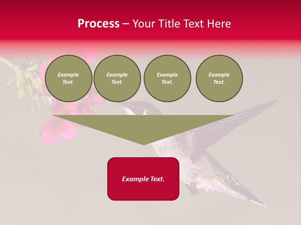 Fauna Hover Ruby PowerPoint Template