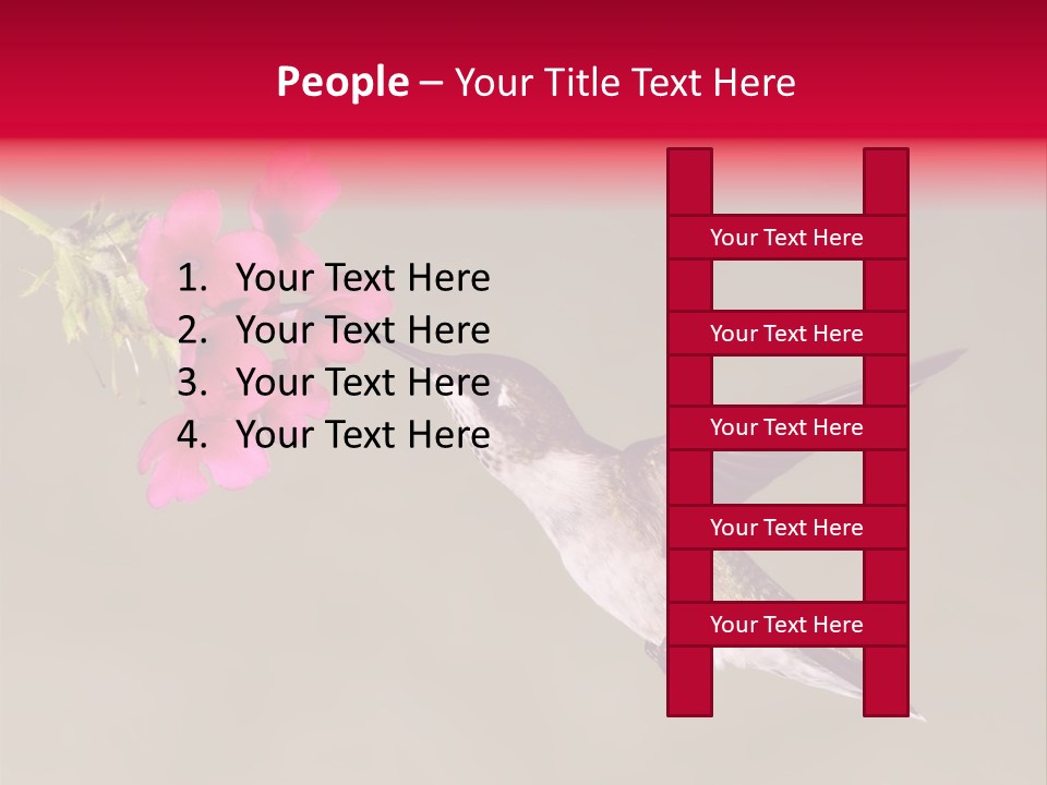 Fauna Hover Ruby PowerPoint Template