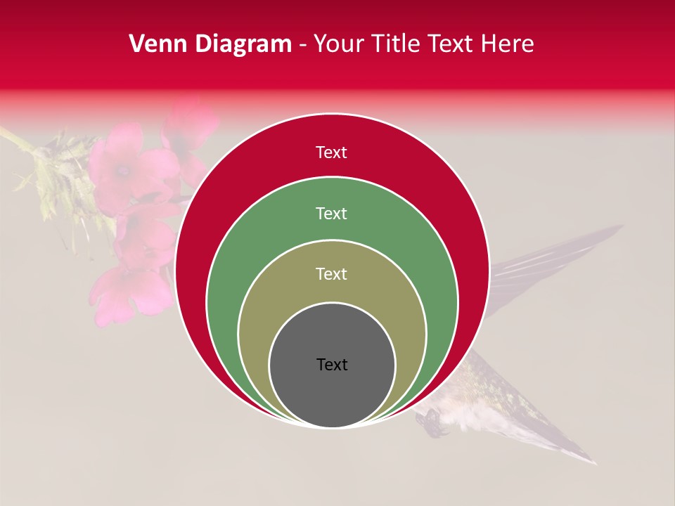 Fauna Hover Ruby PowerPoint Template