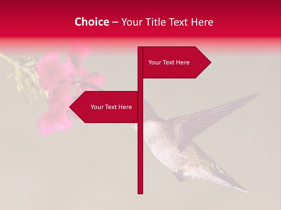 Fauna Hover Ruby PowerPoint Template
