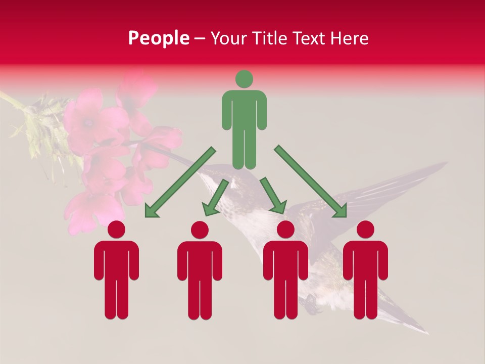 Fauna Hover Ruby PowerPoint Template