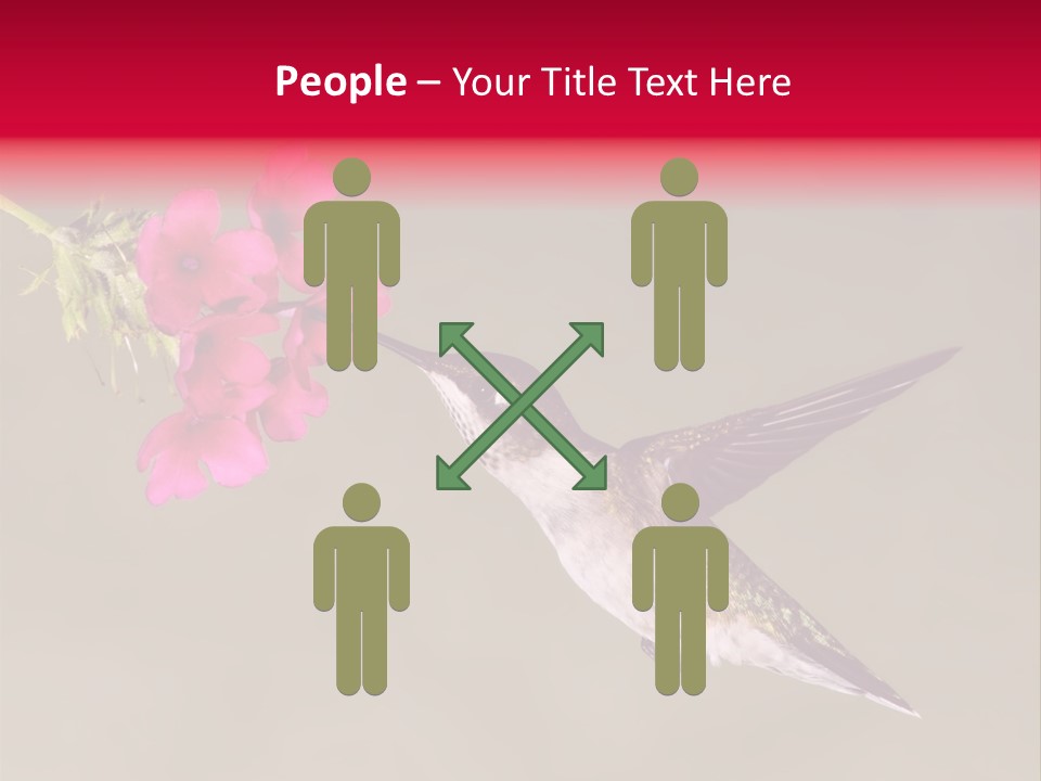 Fauna Hover Ruby PowerPoint Template