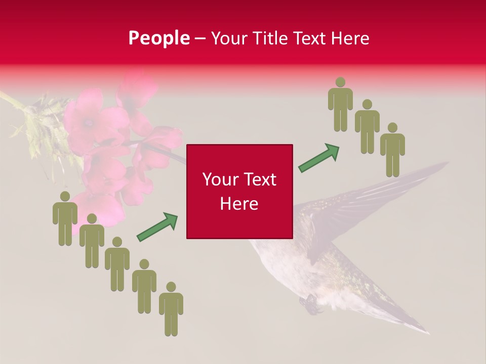 Fauna Hover Ruby PowerPoint Template