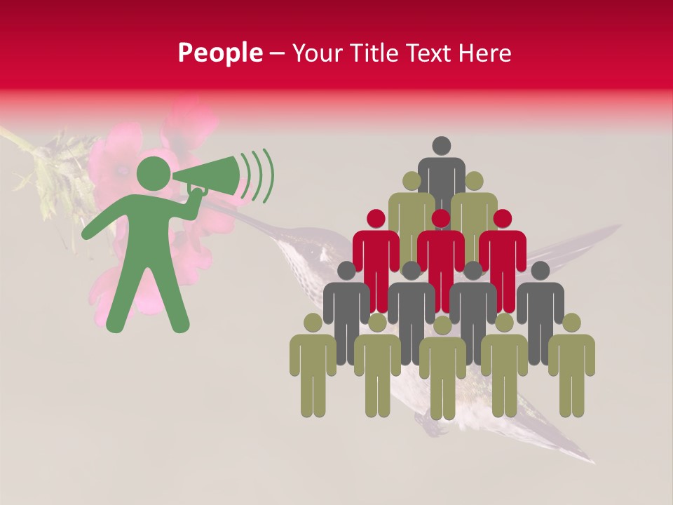 Fauna Hover Ruby PowerPoint Template