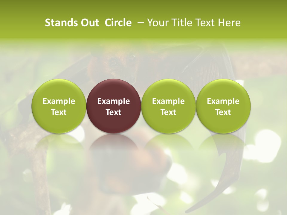 Nature Golden Blossom PowerPoint Template