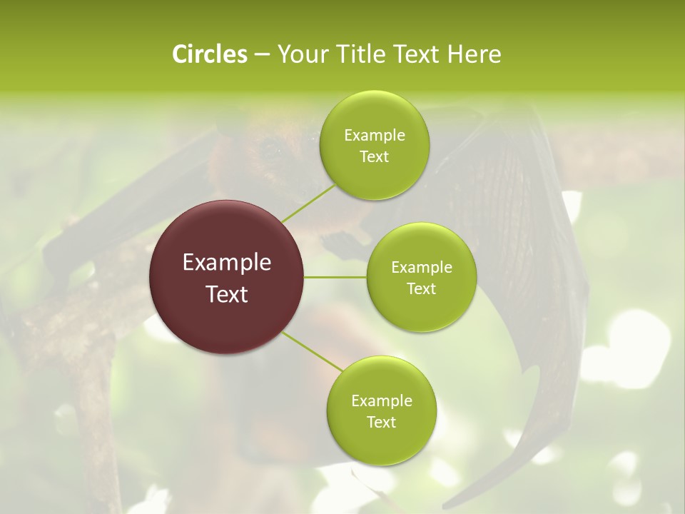 Nature Golden Blossom PowerPoint Template