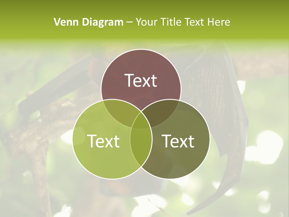 Nature Golden Blossom PowerPoint Template