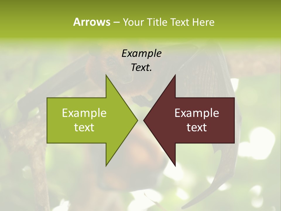 Nature Golden Blossom PowerPoint Template