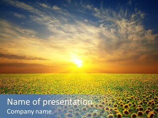 Nature Golden Blossom PowerPoint Template