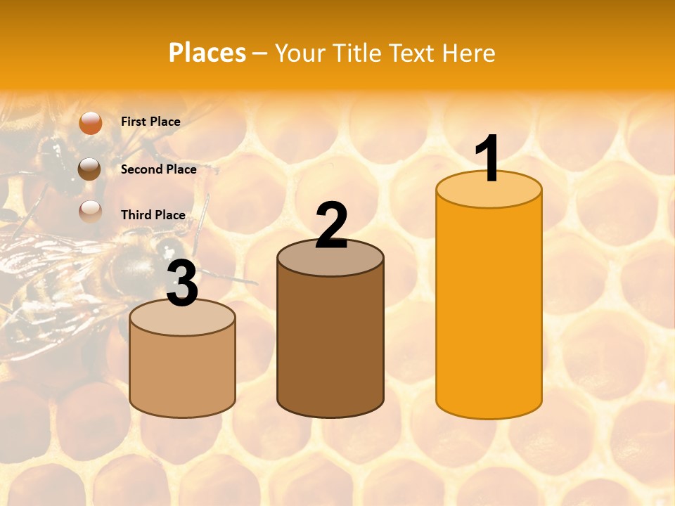 Authority Busy Agility PowerPoint Template