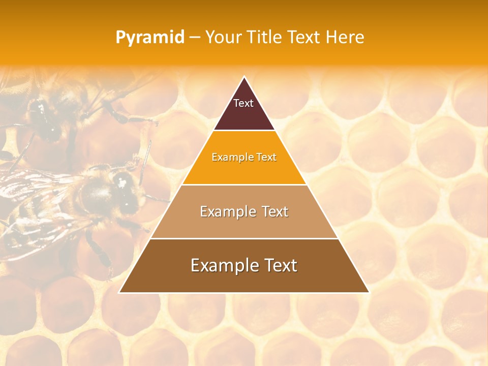 Authority Busy Agility PowerPoint Template