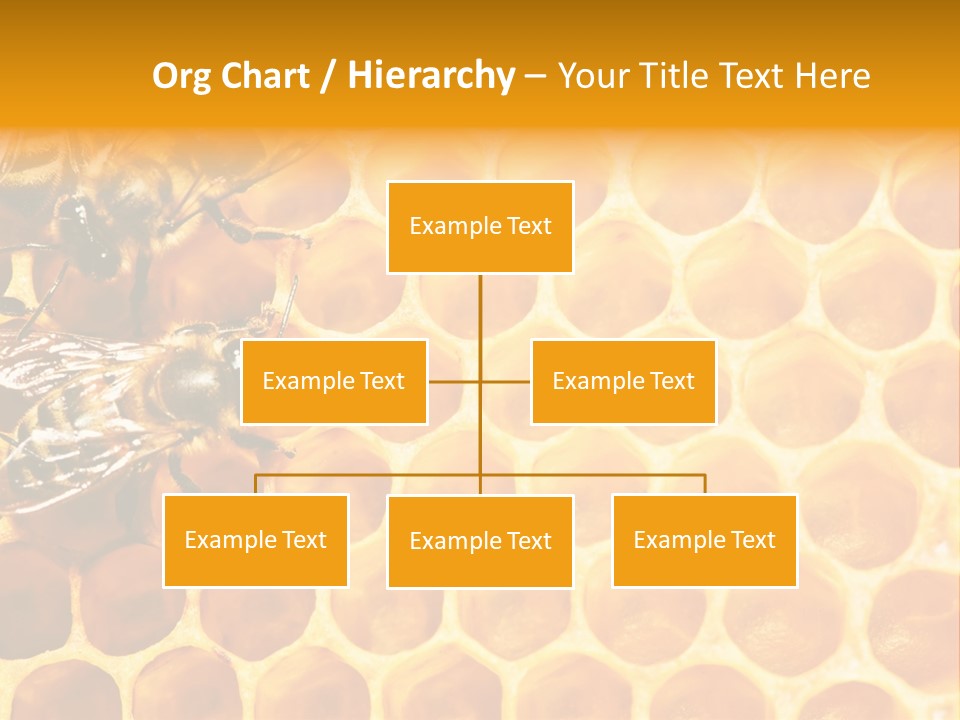 Authority Busy Agility PowerPoint Template