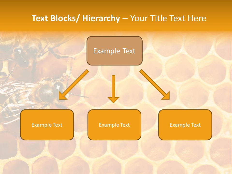 Authority Busy Agility PowerPoint Template