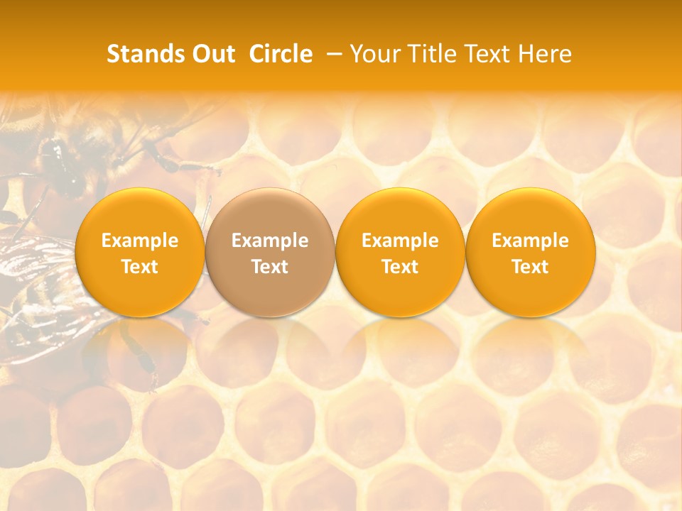 Authority Busy Agility PowerPoint Template