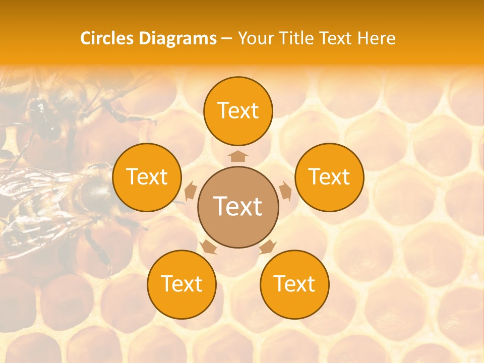Authority Busy Agility PowerPoint Template
