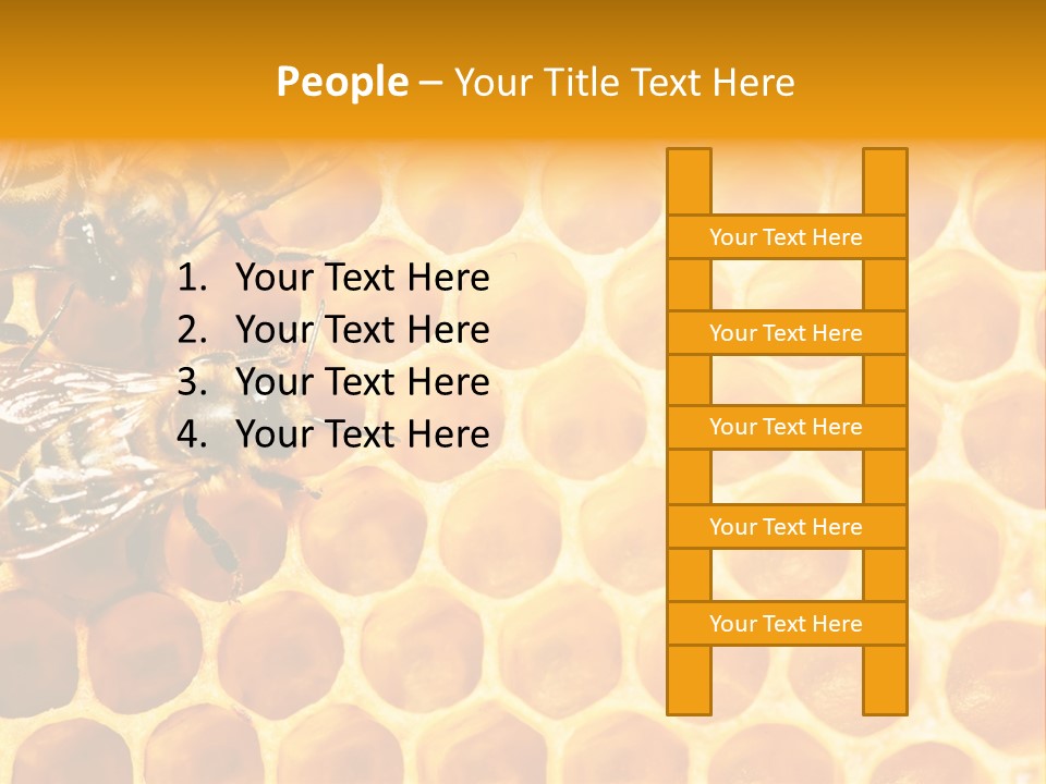Authority Busy Agility PowerPoint Template